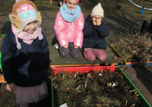 Dziewczynki bawią się w ogródku przedszkolnym.