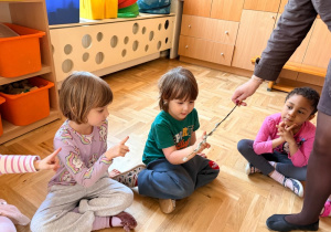 Chłopiec ogląda gałązkę z baziami