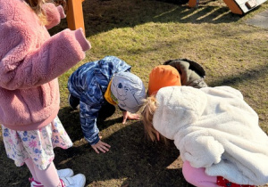 Dzieci obserwują owady