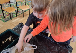 Zakładamy ogródek w sali i wiosenne sianie