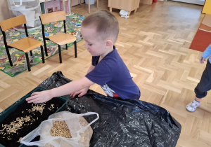 Zakładamy hodowlę i siejemy nasiona