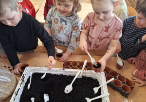 Zakładamy przedszkolny ogródek