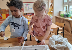 Siejemy nasiona w naszym ogródku