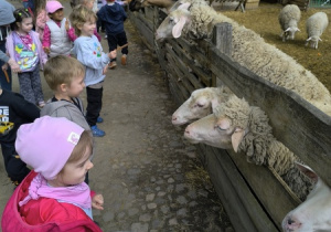 Dzieci karmią zwierzęta
