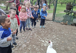 Dzieci podczas karmienia zwierząt