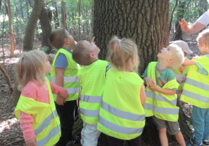 Dzieci podczas spaceru w lesie stoją wokół drzewa.