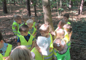 Dzieci obserwują przyrodę w lesie.