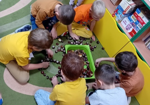 Dzieci układają kasztany