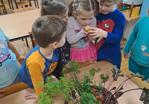Dzieci sprawdzają czy warzywa mają zapach