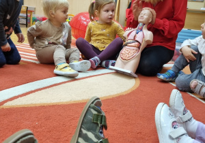 Dzieci siedzą na podłodze i oglądają z Panią model człowieka.