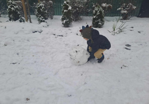 Zabawy na śniegu- chłopiec lepi bałwana