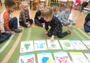 Dzieci siedzą na dywanie, przed nimi kolorowe obrazki.