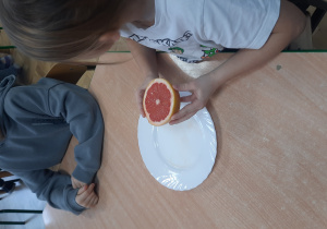 zajęcia z planu,, Profesor Animka na tropie zaginionych składników odżywczych" poznajemy grejpfruta