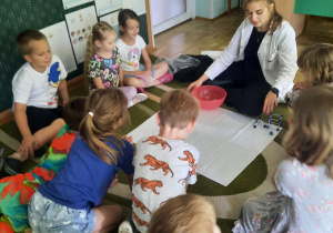 Zajęcia Labolo