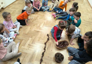 Dziewczynka układa sekwencje z darów jesieni