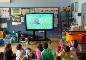 Dzieci ogladają film edukacyjny o jeżach