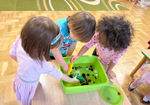 Dzieci wyciągają szczypcami guziki zanurzone w wodzie