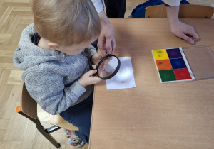 Przedszkolaki sprawdzają swoje linie papilarne