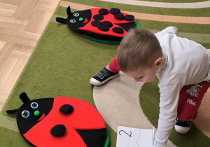 Chłopiec dopasowuje planszę z cyfrą do materiałowej biedronki