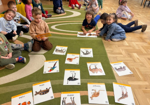 Dzieci siedzą wokół obrazków przedstawiających zwierzęta egzotyczne