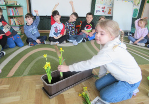 Dziewczynka sadzi w skrzynce żonkila, pozostałe dzieci siedzą na dywanie.