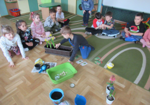 Chłopiec sadzi w skrzynce fasolę, pozostałe dzieci siedzą na dywanie.