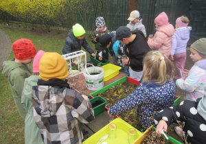 Dzieci wsypują ziemie do słoików.